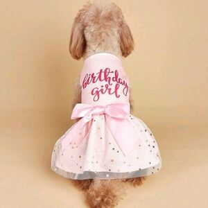 New Birthday Dog dress